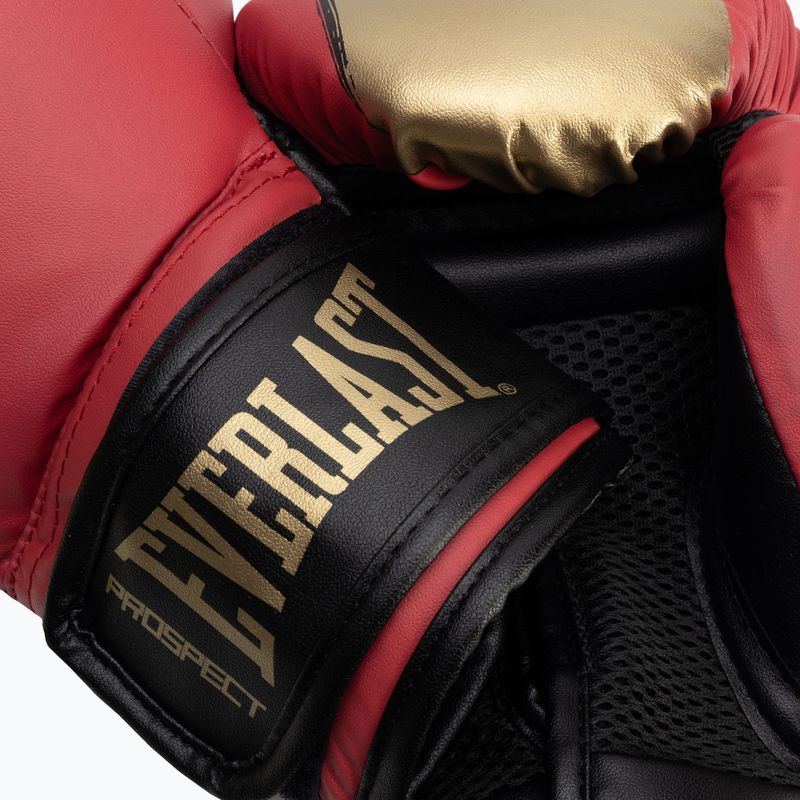 Боксов комплект Everlast Prospect 2 Heavy Bag red/gold 9