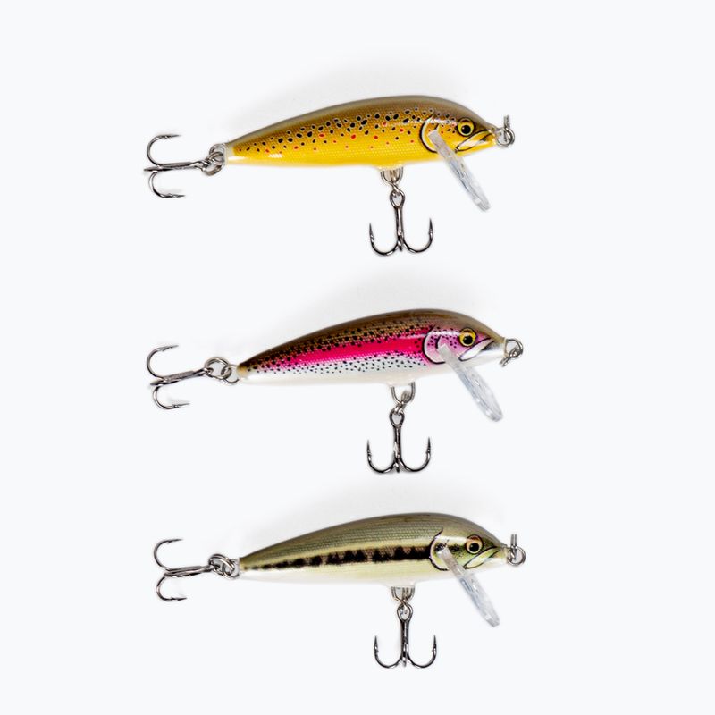 Rapala Truite Cd05 Артистичен комплект от 3 бр. в цвят RA8920001