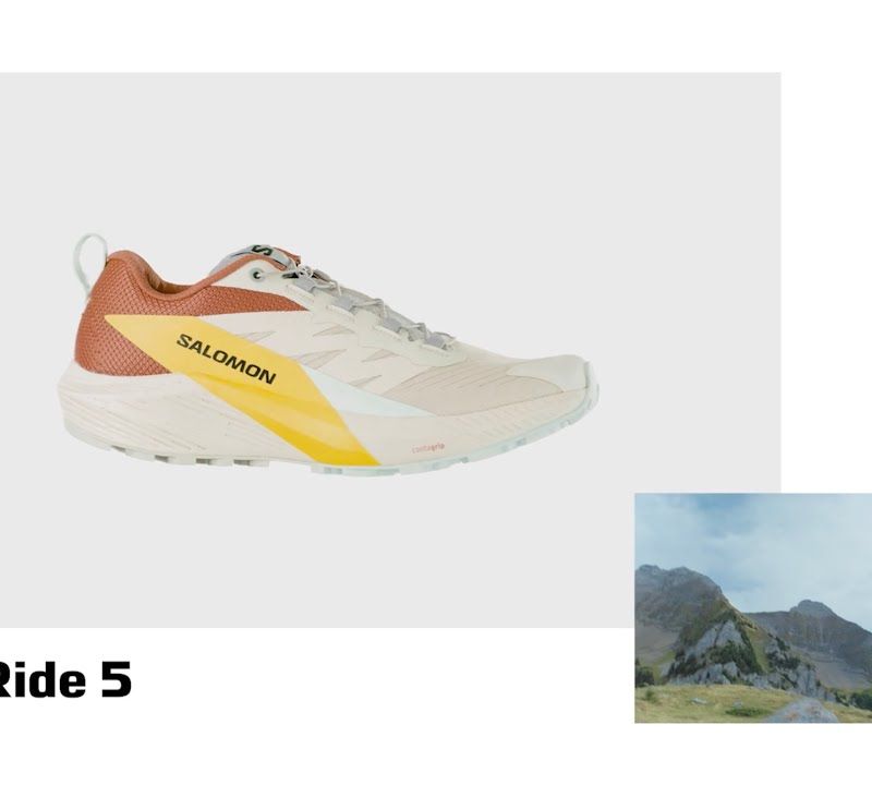 Мъжки обувки за бягане Salomon Sense Ride 5 черен L47214300 16