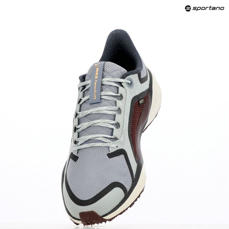 Nike Pegasus 41 GTX дамски обувки за бягане светла пемза/ бордо crush/ тъмно сиво дим/ пепеляво шисти 9