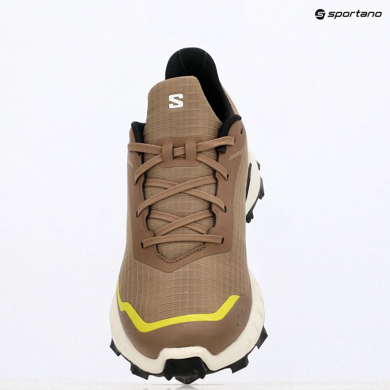 Мъжки обувки за бягане Salomon Alphacross 5 caribou/canteen/ sulphr 18