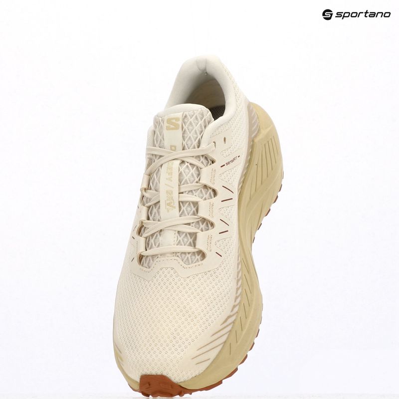 Мъжки обувки за бягане Salomon Drx Defy GRVL vanilla ice/green haze/white pepper 14