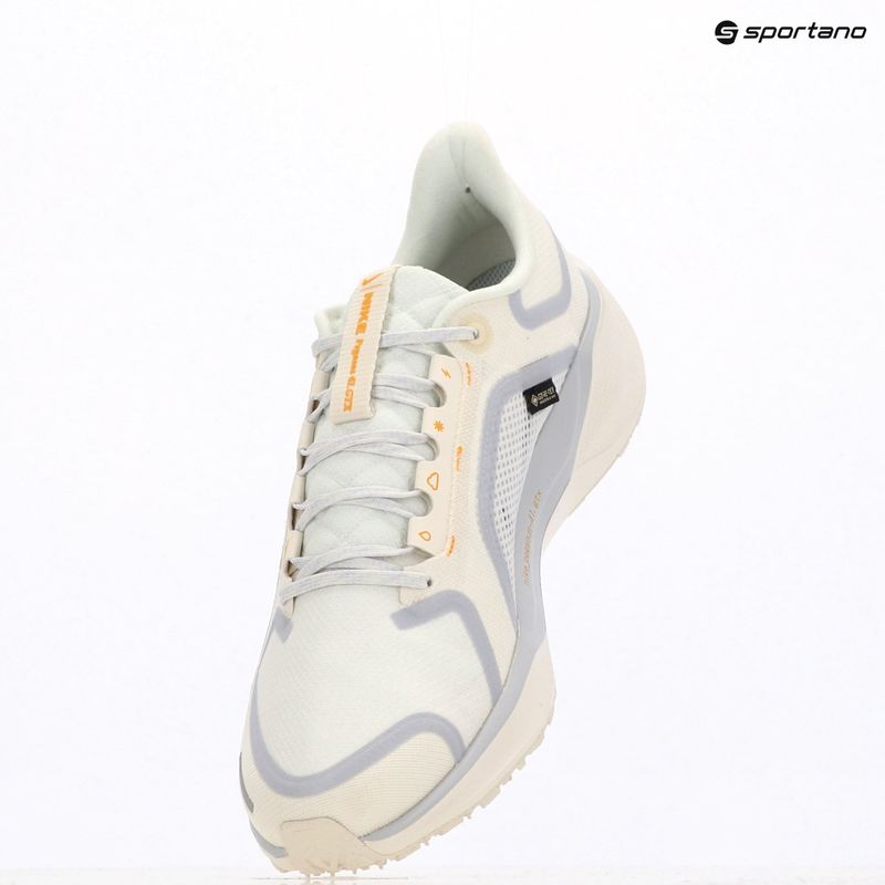 Мъжки обувки за бягане Nike Pegasus 41 GTX sail/football grey/sundial/ashen slate 6