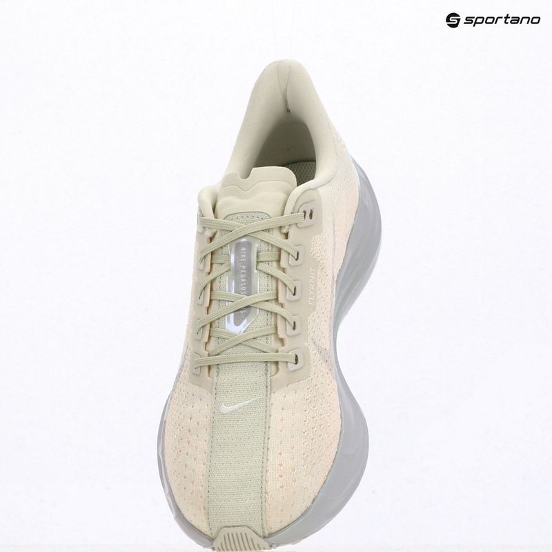 Мъжки обувки за бягане Nike Pegasus Plus ESS sea glass/chalk/pure platinum/white 10