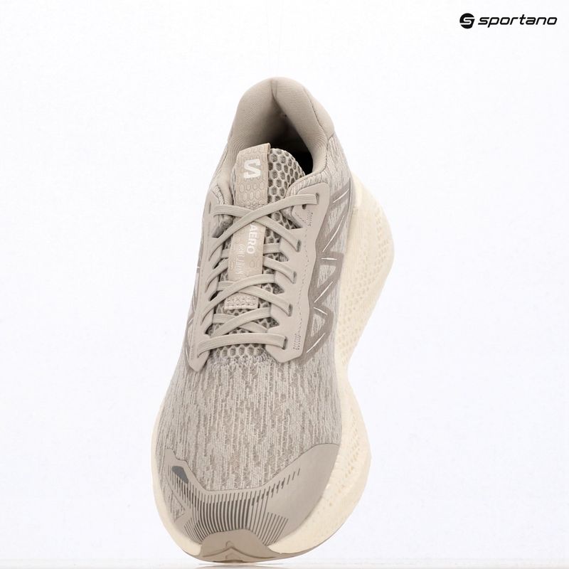 Мъжки обувки за бягане Salomon Aero Glide 4 silver/silver/white 4