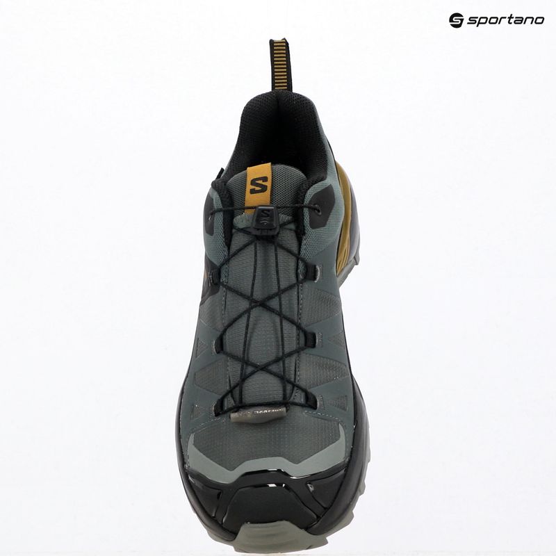 Мъжки обувки за трекинг Salomon X Ultra 360 GTX urban chic/black 10