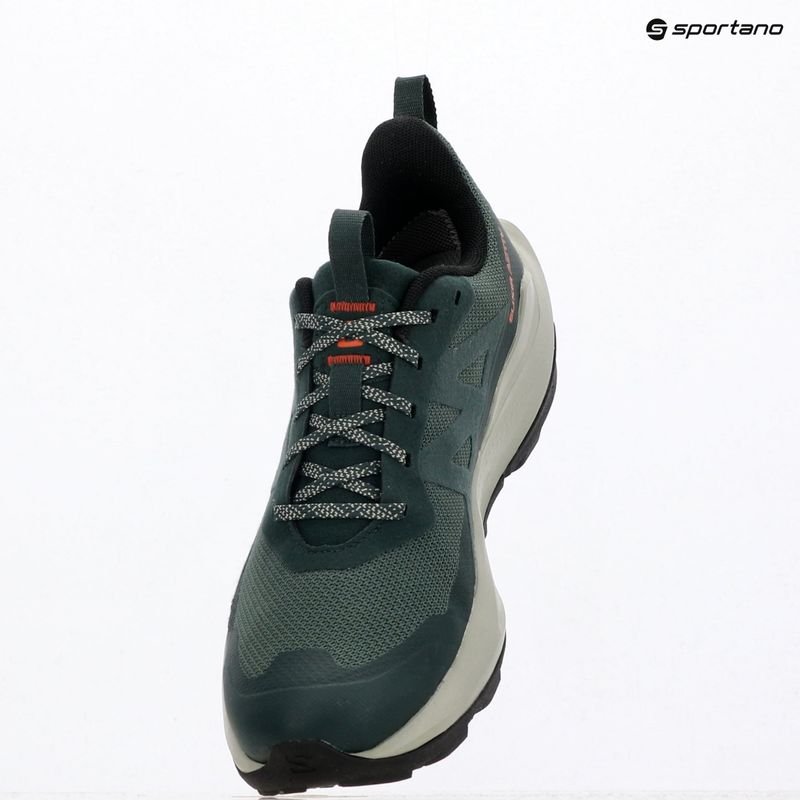 Мъжки туристически обувки Salomon Elixir Activ GTX scarab/green gable 10
