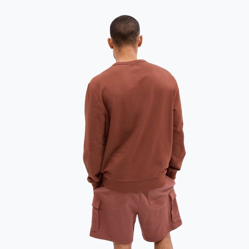 Мъжки суитшърт GAP Logo Crewneck burnt russet 2