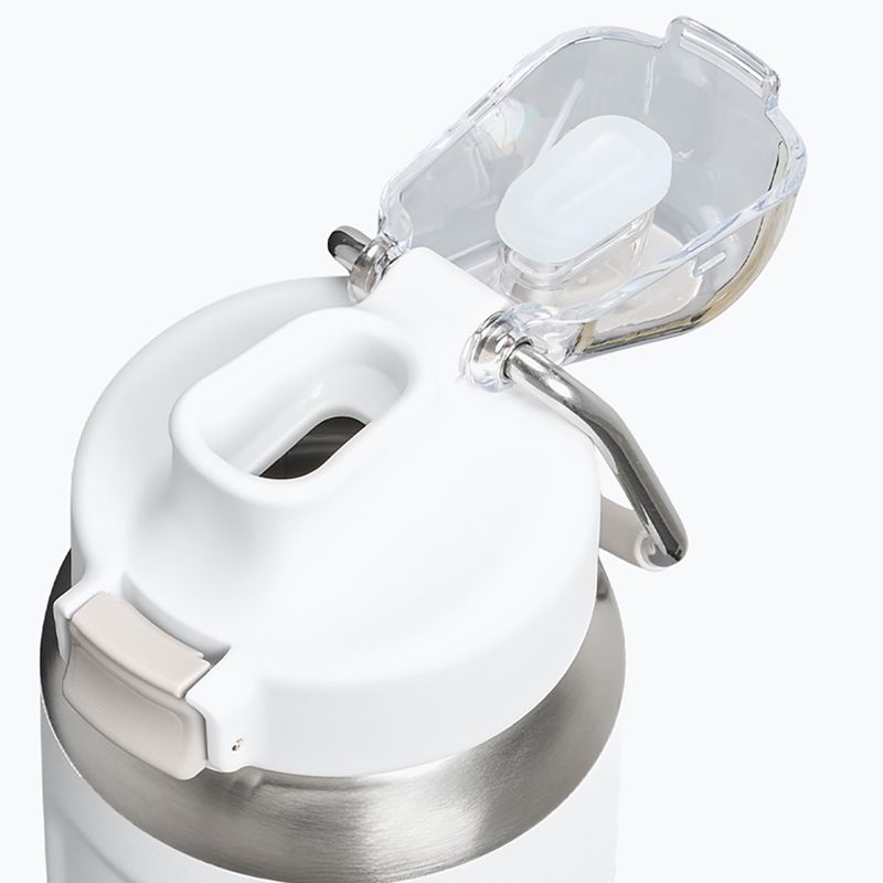 Термо бутилка Stanley Classic Wellspring frost 3
