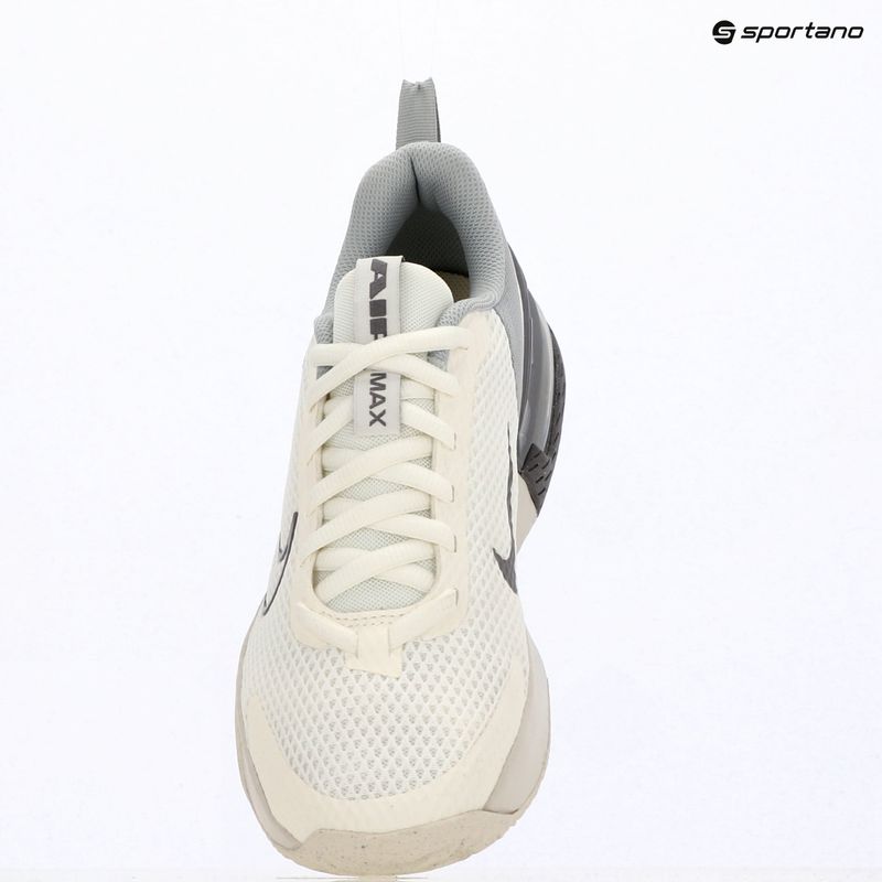 Мъжки обувки за тренировка Nike Air Max Alpha Trainer 6 sail/light smoke grey/phantom/pencil point 5