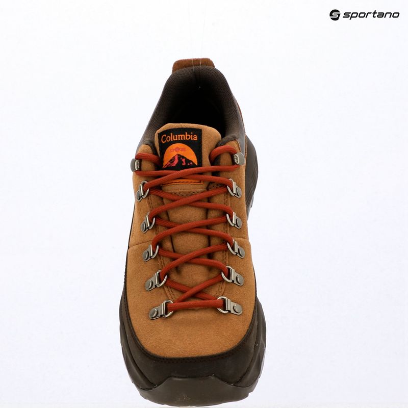 Мъжки обувки за трекинг Columbia Newton Alpine Low grizzly bear/red oxide 15