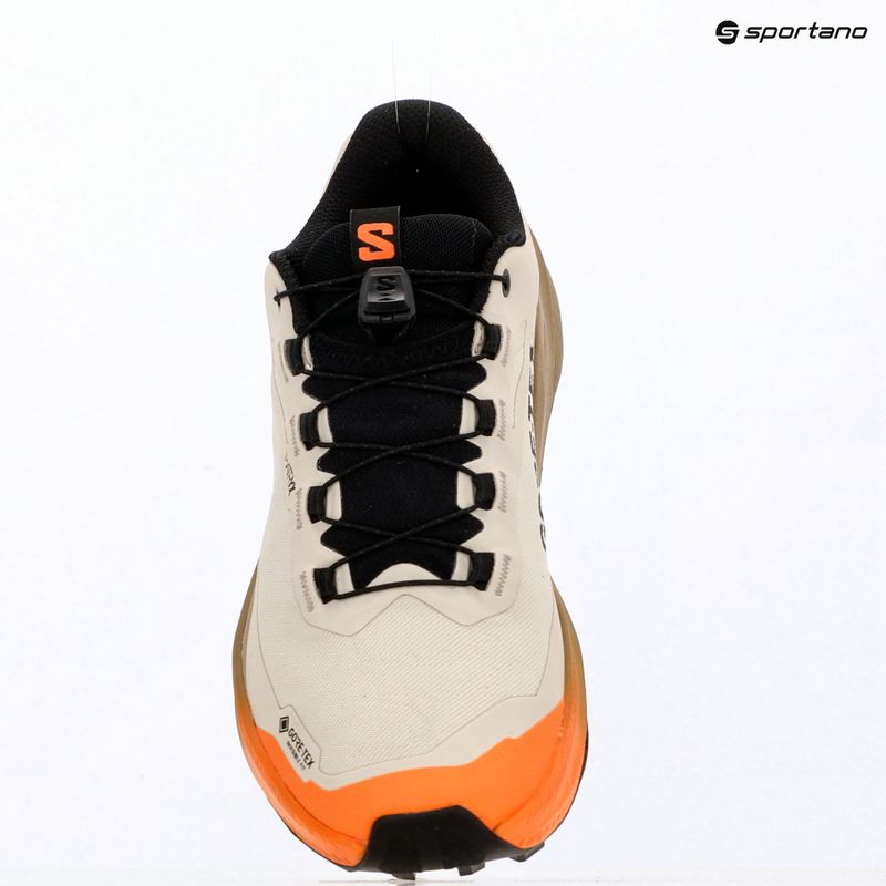Дамски обувки за бягане Salomon Genesis 2 GTX rainy day/desert tan 15
