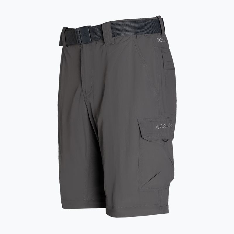 Мъжки панталони за трекинг Columbia Silver Ridge II converti 023 grey 1794891 9