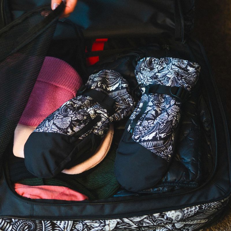 Мъжки ръкавици за сноуборд Dakine Sequoia Gore-Tex Mitt kingdom black 4