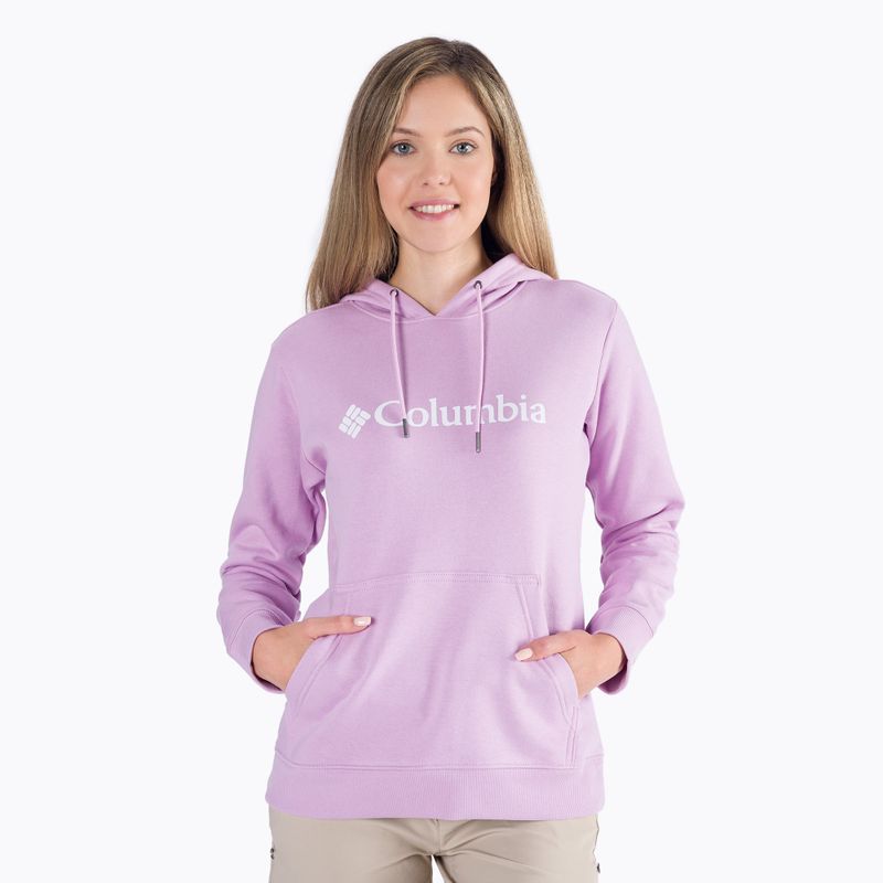 Дамски суитшърт за трекинг Columbia Logo purple 1895751