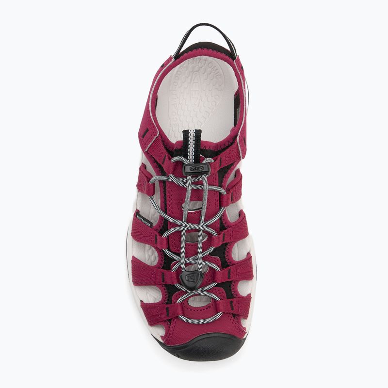 KEEN Astoria West дамски сандали beaujolais/star white 5