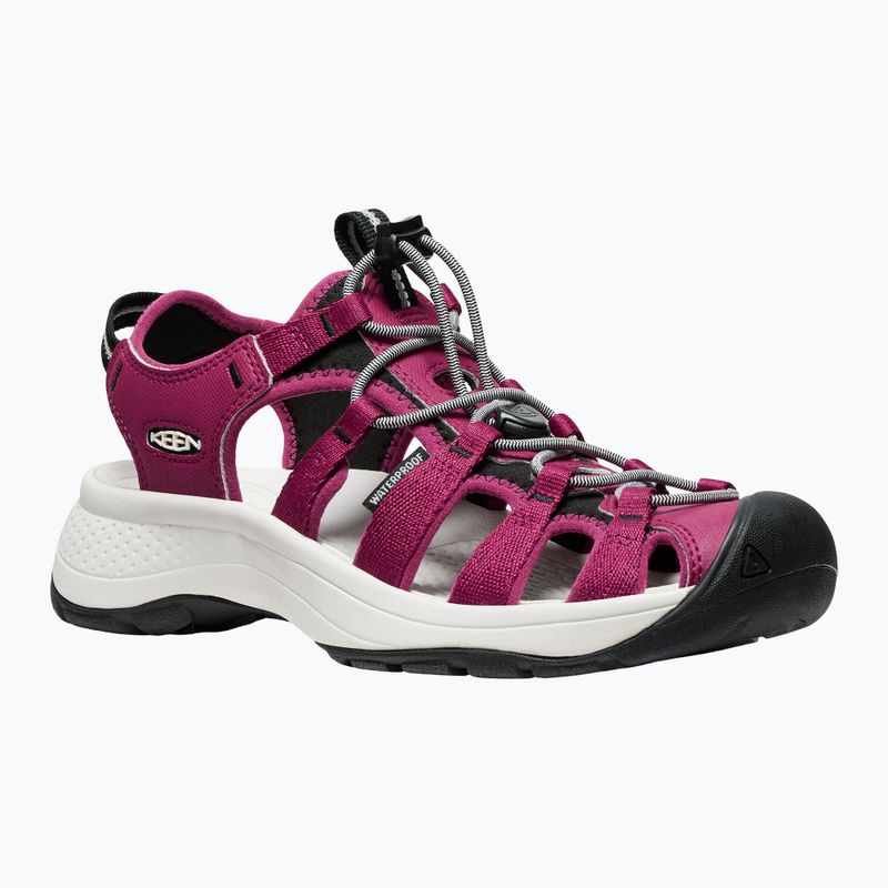KEEN Astoria West дамски сандали beaujolais/star white