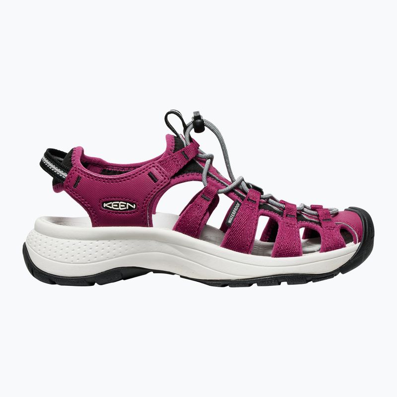 KEEN Astoria West дамски сандали beaujolais/star white 2