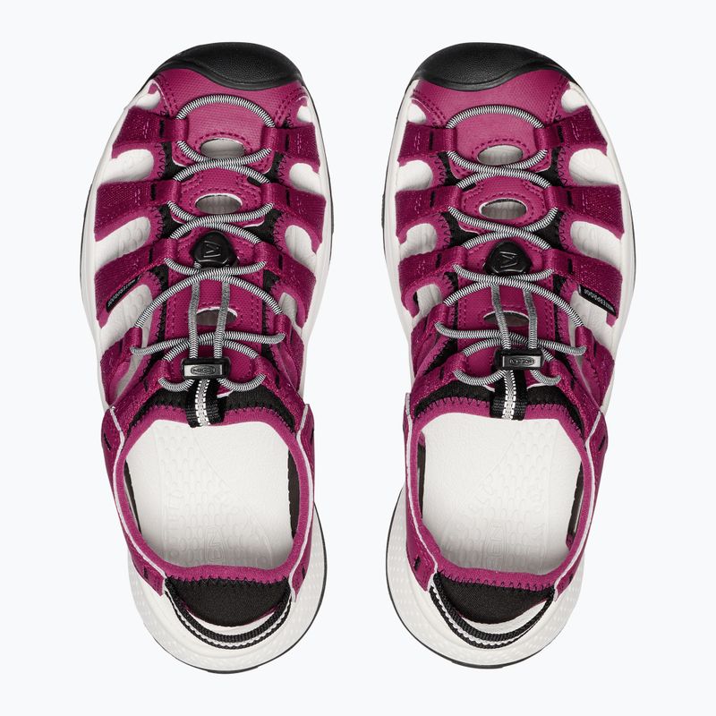 KEEN Astoria West дамски сандали beaujolais/star white 5