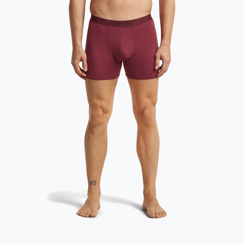 Мъжки термобоксерки icebreaker Anatomica Boxers port 2