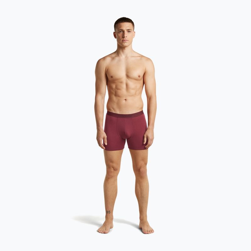 Мъжки термобоксерки icebreaker Anatomica Boxers port 3