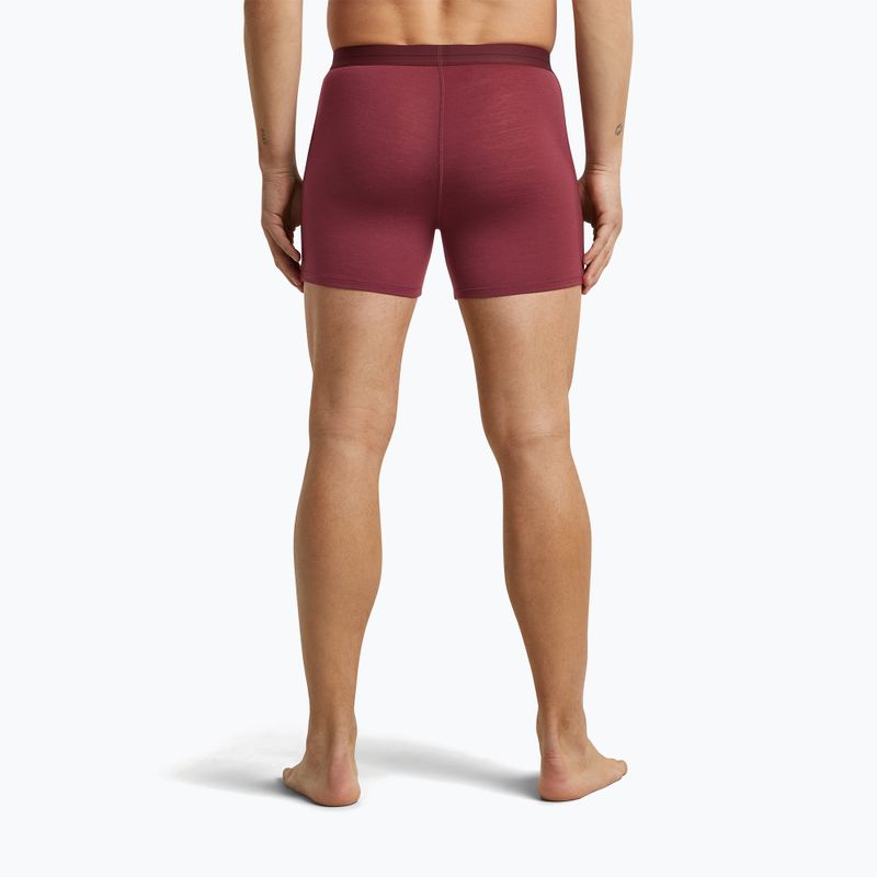 Мъжки термобоксерки icebreaker Anatomica Boxers port 4
