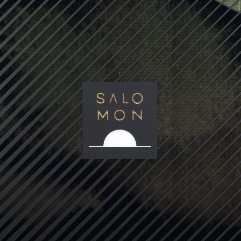 Мъжки сноуборд Salomon Pulse black L47031600 5