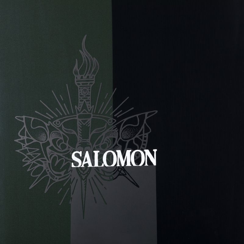 Мъжки сноуборд Salomon Assassin PRO black L47017200 6