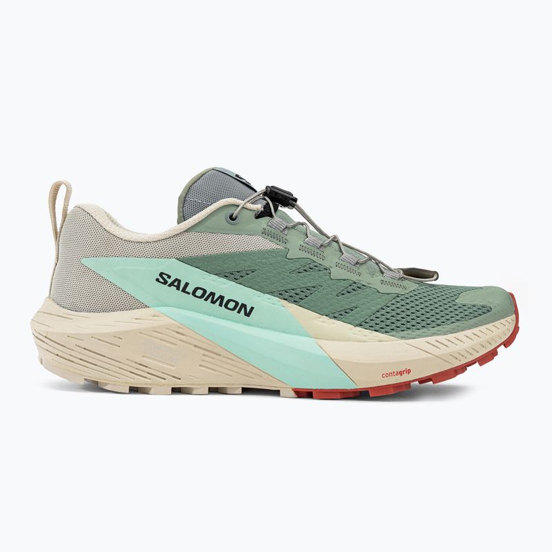 Дамски обувки за бягане Salomon Sense Ride 5 Lily Pad/Rainy Day/Bleached Aqua L47212300 2
