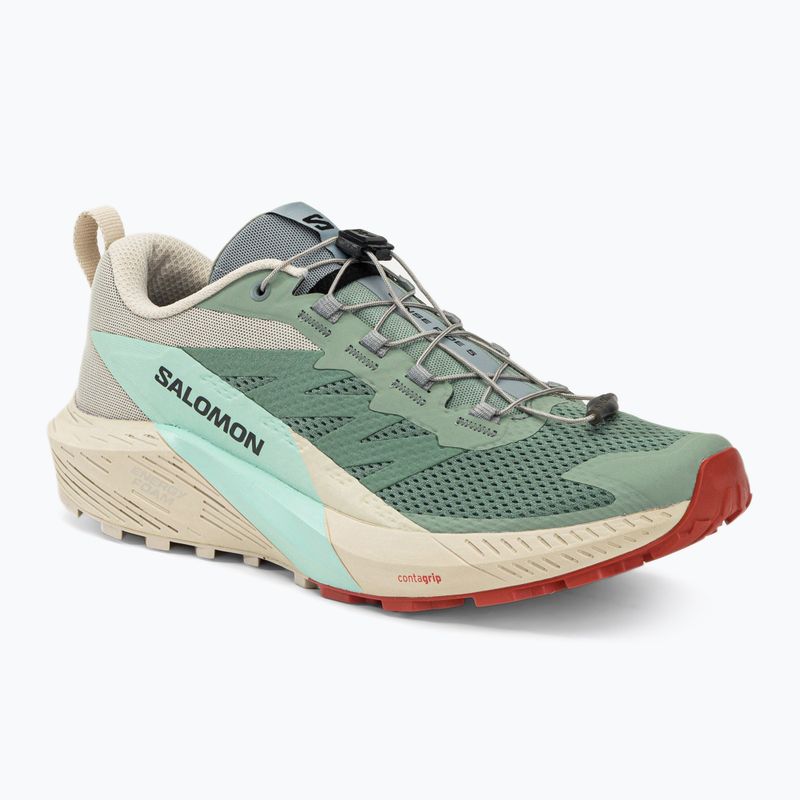 Мъжки обувки за бягане Salomon Sense Ride 5 lily/rainy day/bleached aqua