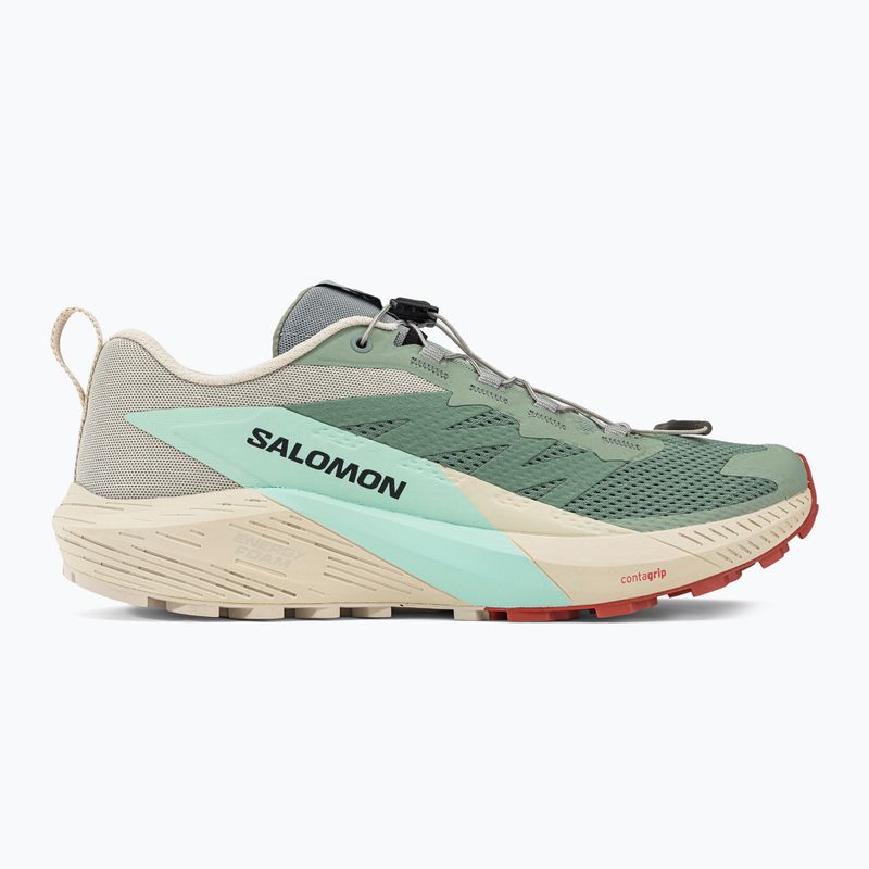 Мъжки обувки за бягане Salomon Sense Ride 5 lily/rainy day/bleached aqua 2