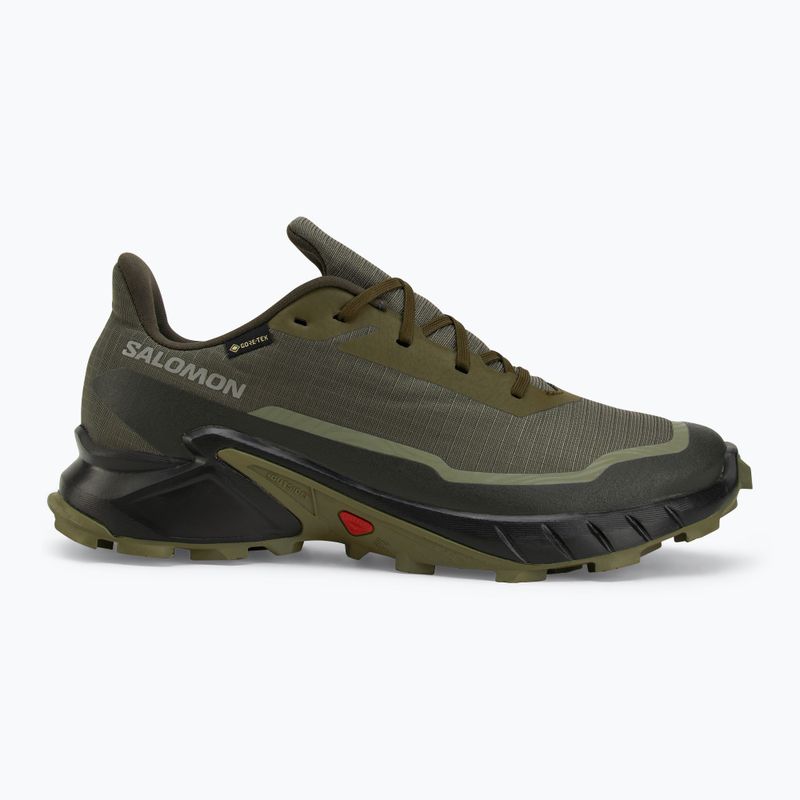 Salomon Alphacross 5 GTX мъжки маратонки olive night/black 2