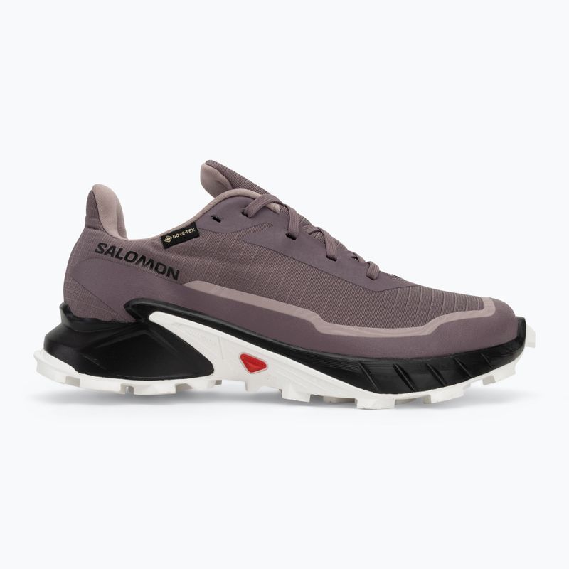 Salomon Alphacross 5 GTX дамски маратонки moonscape/black/white 2