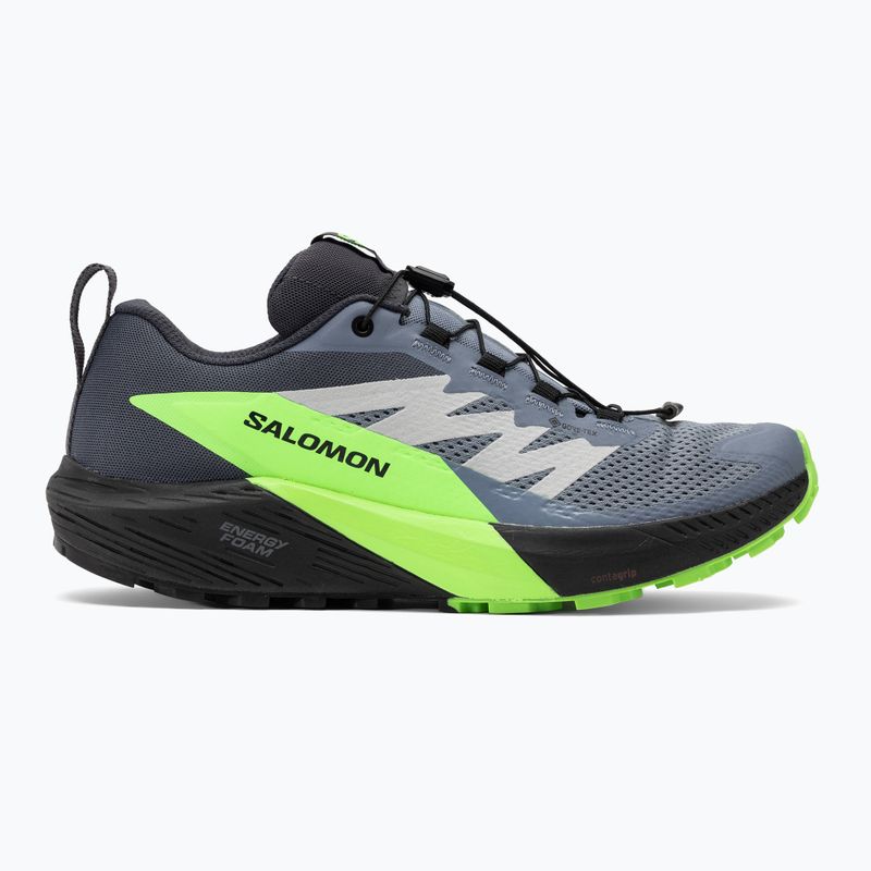 Salomon Sense Ride 5 GTX мъжки обувки за бягане flint stone/black/green gecko 2