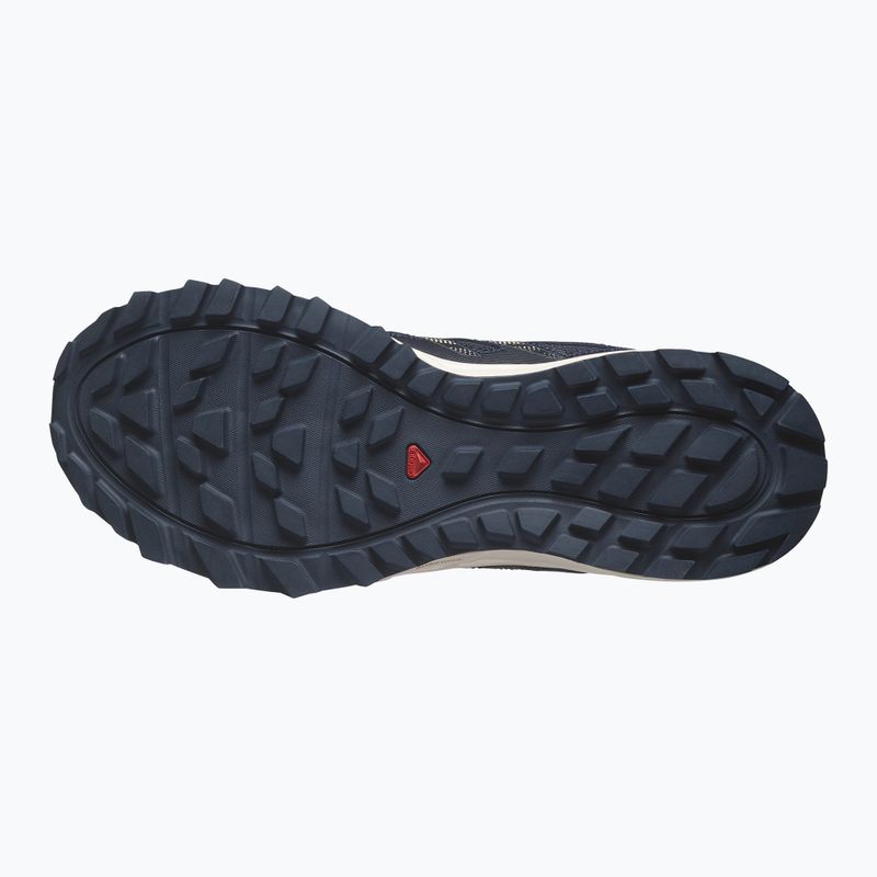 Мъжки обувки за бягане Salomon Wander carbon/india ink/almond buff 10