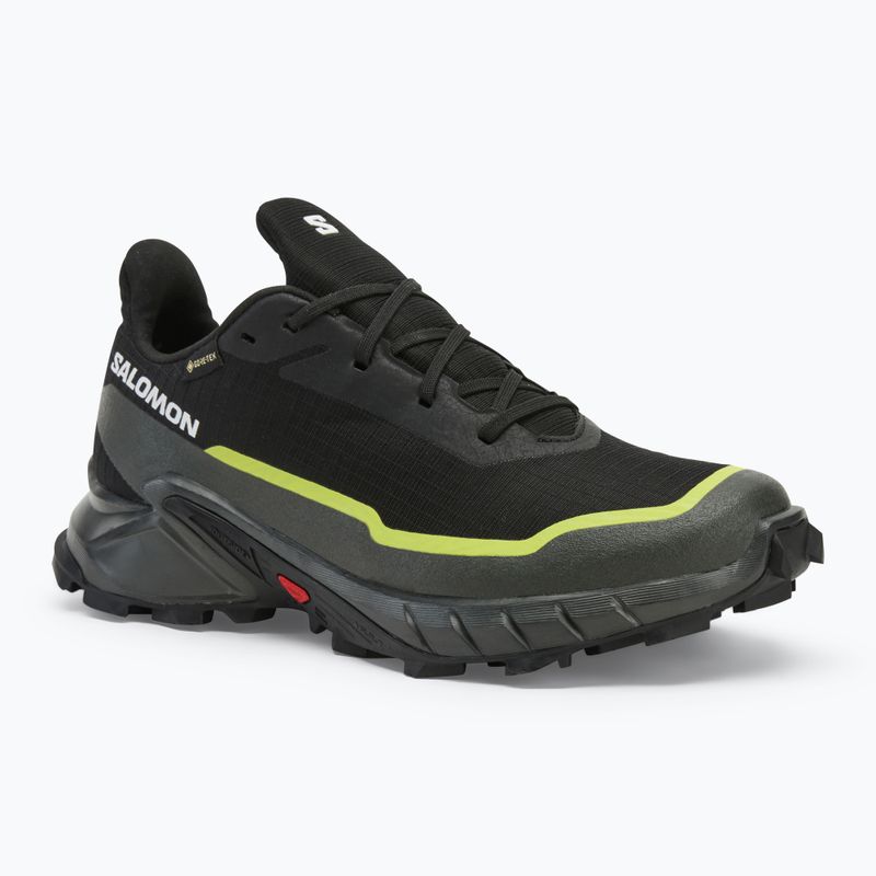 Мъжки обувки за бягане Salomon Alphacross 5 GTX black/peat/sulphur spring
