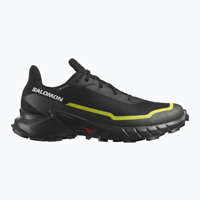 Мъжки обувки за бягане Salomon Alphacross 5 GTX black/peat/sulphur spring 9