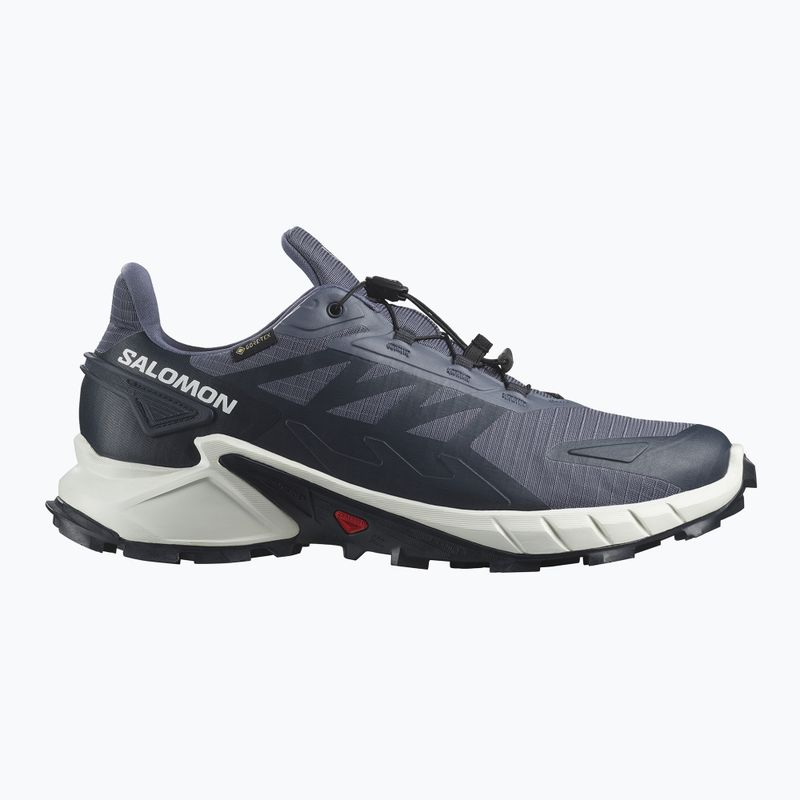 Мъжки обувки за бягане Salomon Supercross 4 GTX grisaille/white/carbon 9