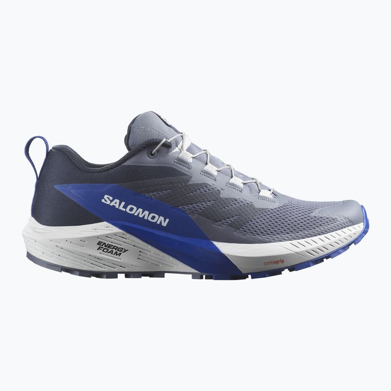 Мъжки обувки за бягане Salomon Sense Ride 5 grisaille/glacier/surf the web