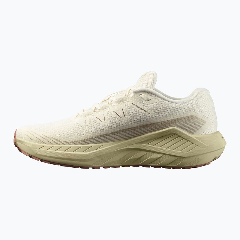 Salomon Thundercross мъжки обувки за бягане асфалт/акула/напръскване 9