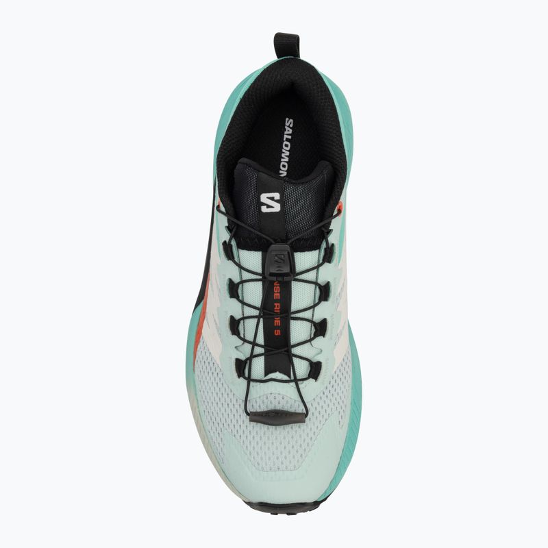 Дамски обувки за бягане Salomon Sense Ride 5 bay/black/cherry tomato 5