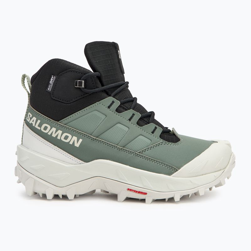 Дамски обувки за трекинг Salomon Crosstrak WP agave green/ black/can ary green 2