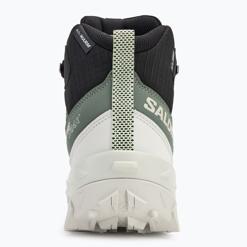 Дамски обувки за трекинг Salomon Crosstrak WP agave green/ black/can ary green 6