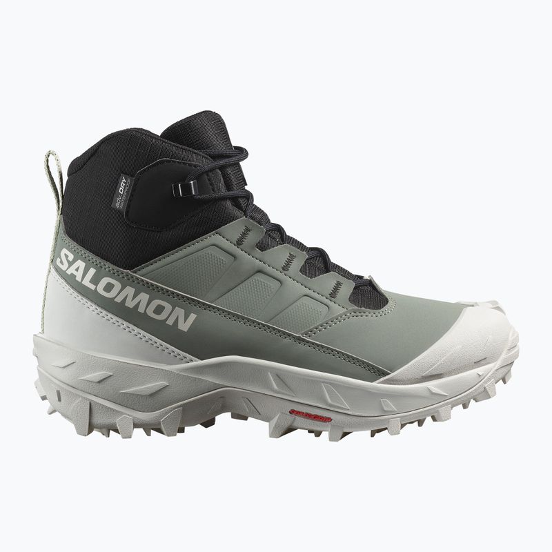 Дамски обувки за трекинг Salomon Crosstrak WP agave green/ black/can ary green 9