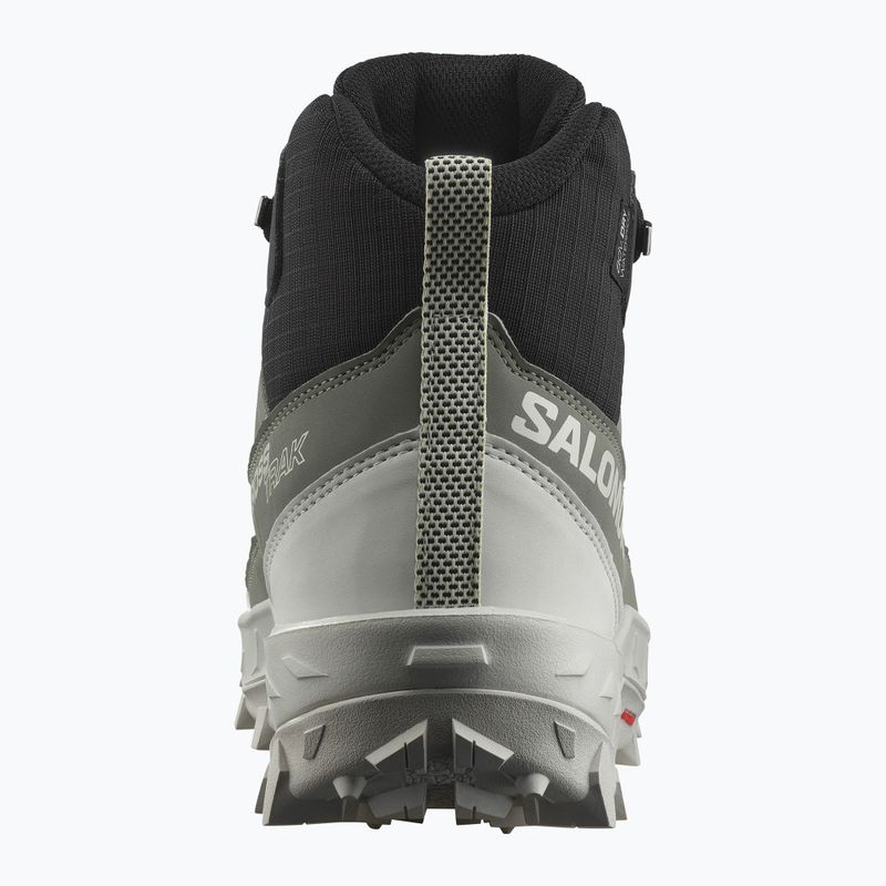 Дамски обувки за трекинг Salomon Crosstrak WP agave green/ black/can ary green 11