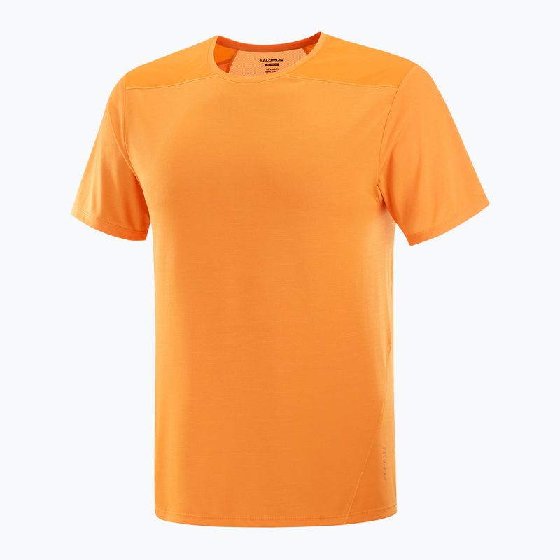 Мъжка тениска Salomon Outline Tee в цвят куркума 4