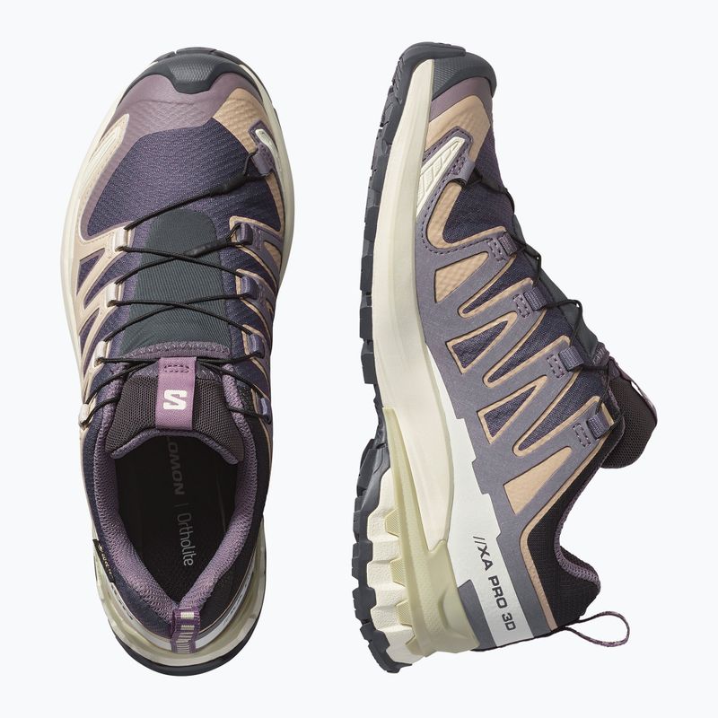 Дамски обувки за бягане Salomon XA Pro 3D V9 GTX nine iron/oxford tan 3