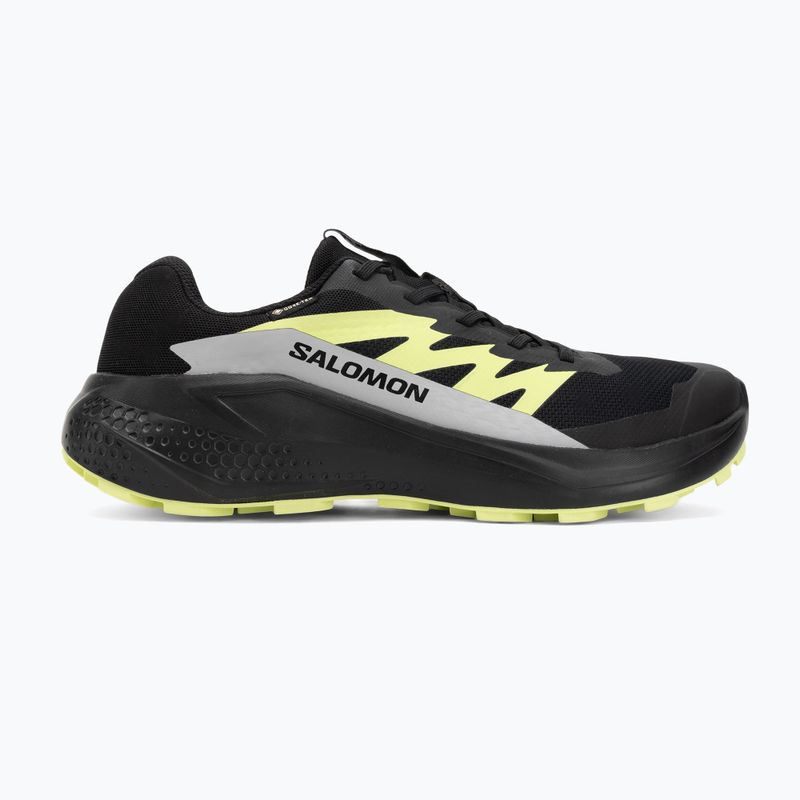 Мъжки обувки за бягане Salomon Alphaglide GTX black/alloy/sharp green 2