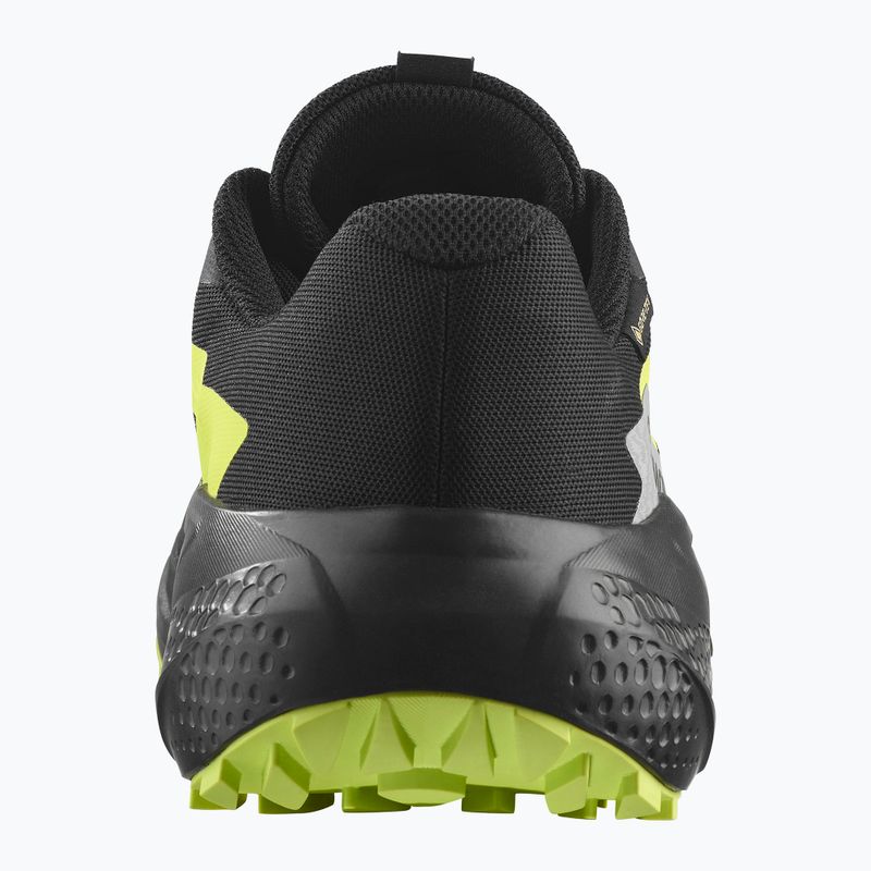 Мъжки обувки за бягане Salomon Alphaglide GTX black/alloy/sharp green 3