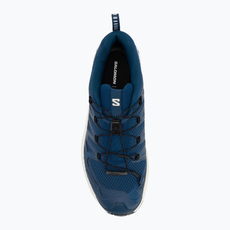 Salomon XA Pro 3D V9 мъжки обувки за бягане poseidon/icicle/alloy 5